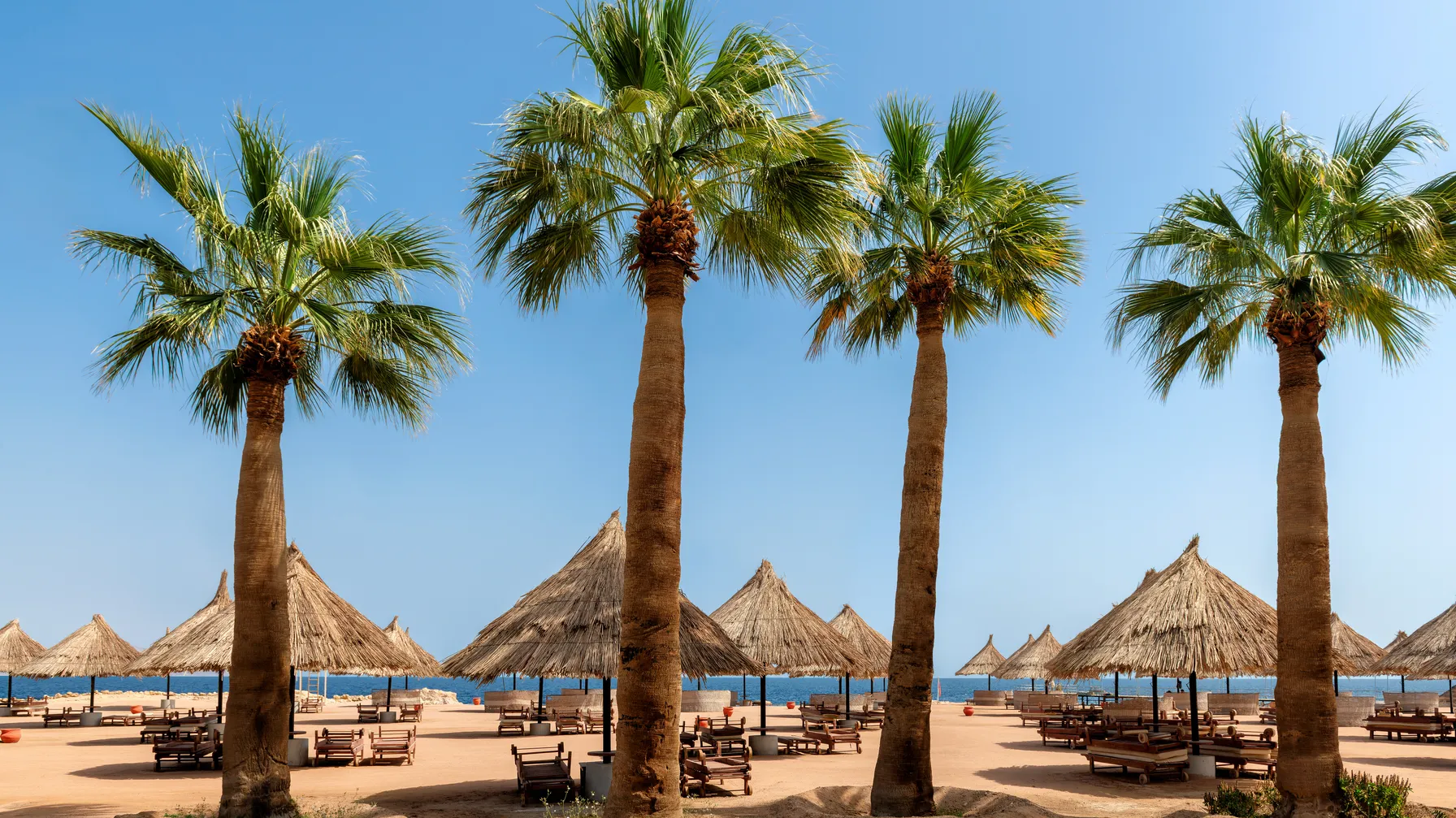 Sharm el Sheikh in March: your perfect escape under the Red Sea sun article