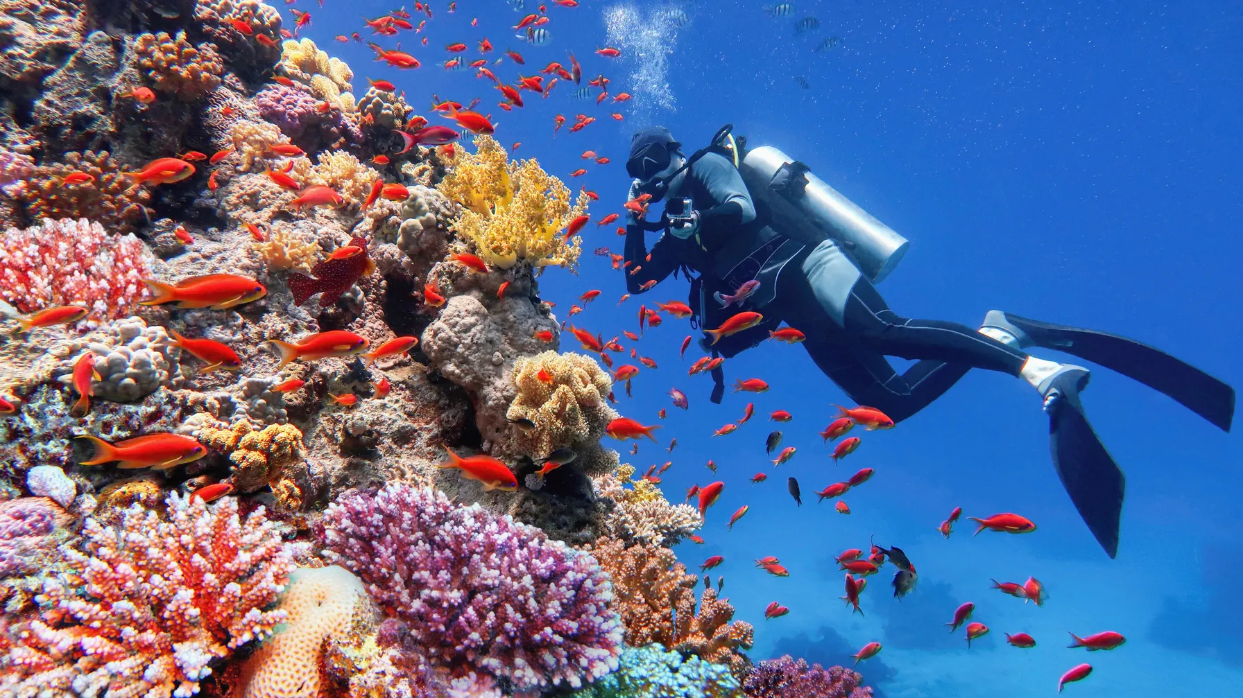 Sharm el Sheikh in November: Egypt at its finest article