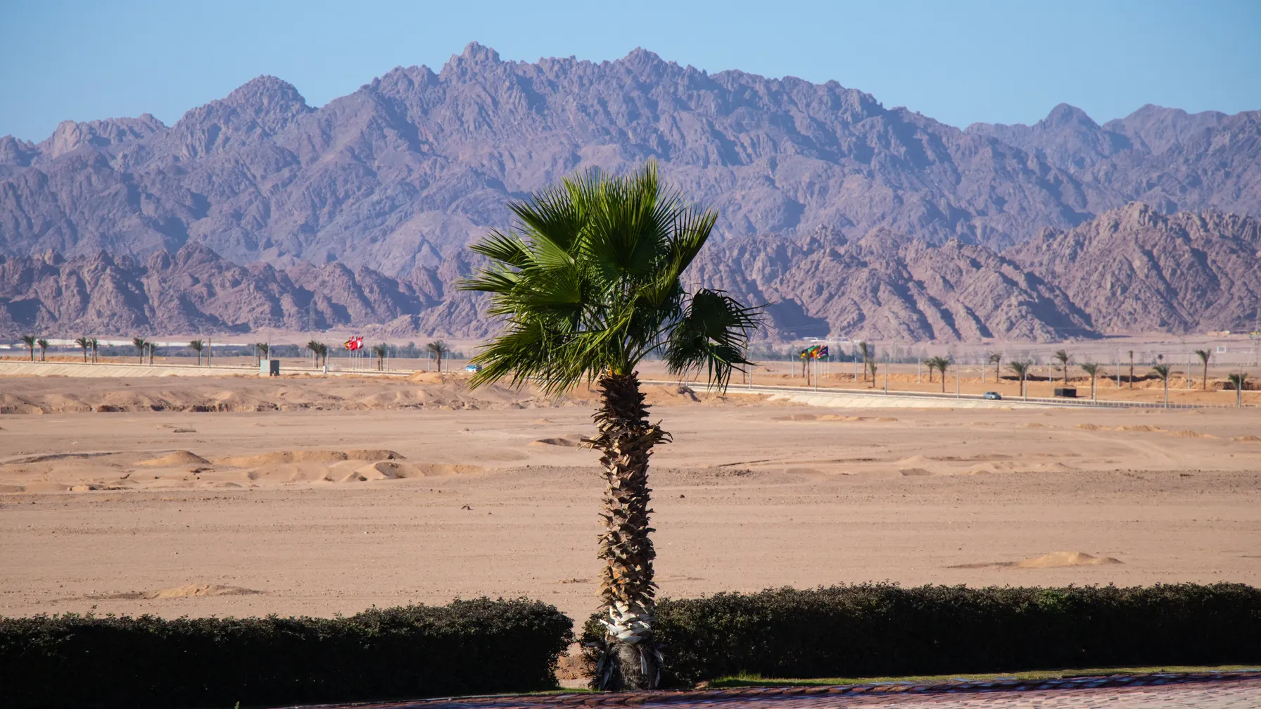 Sharm el Sheikh in December: your winter getaway under the Egyptian sun article
