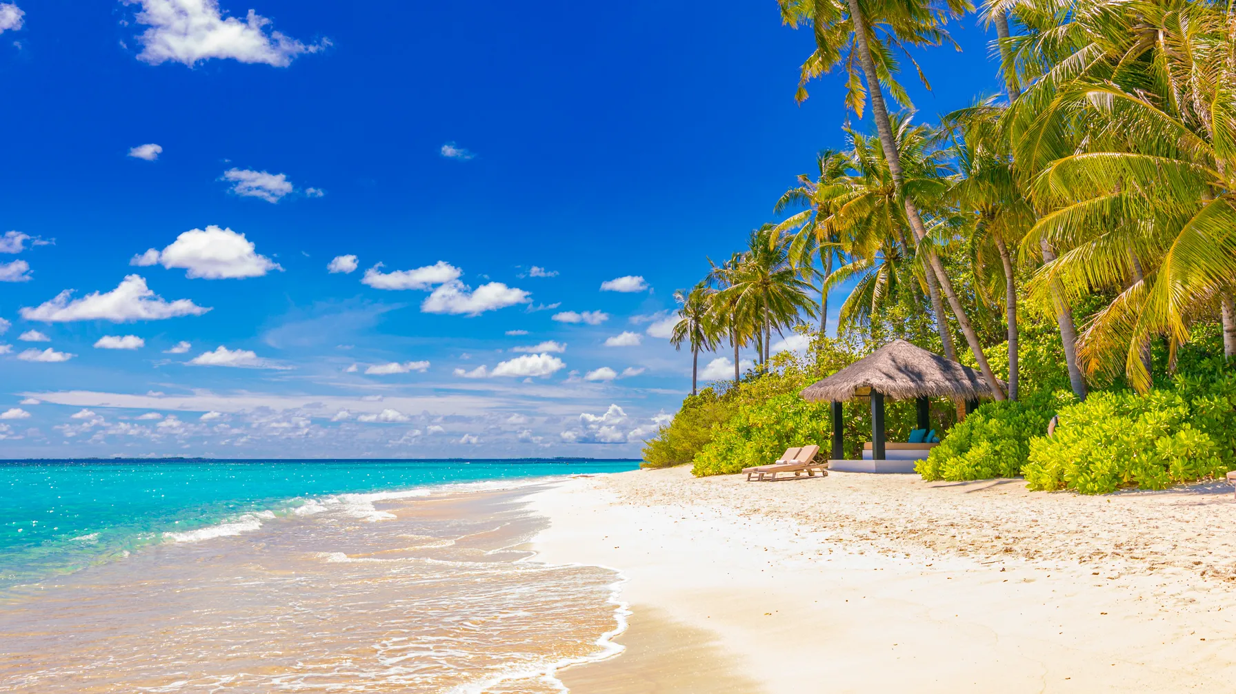 August in Sri Lanka: the ideal time for your customized trip? article