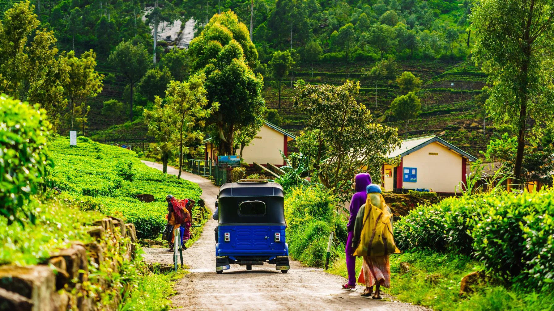 When to go to Sri Lanka? article