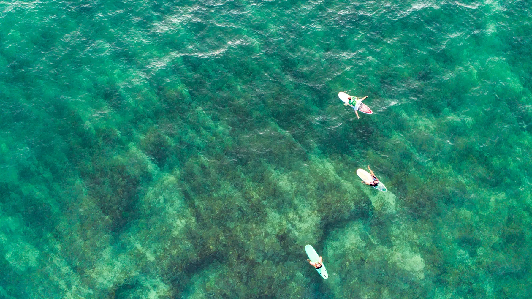 Sri Lanka in December: Your Complete Guide for a Successful Journey article