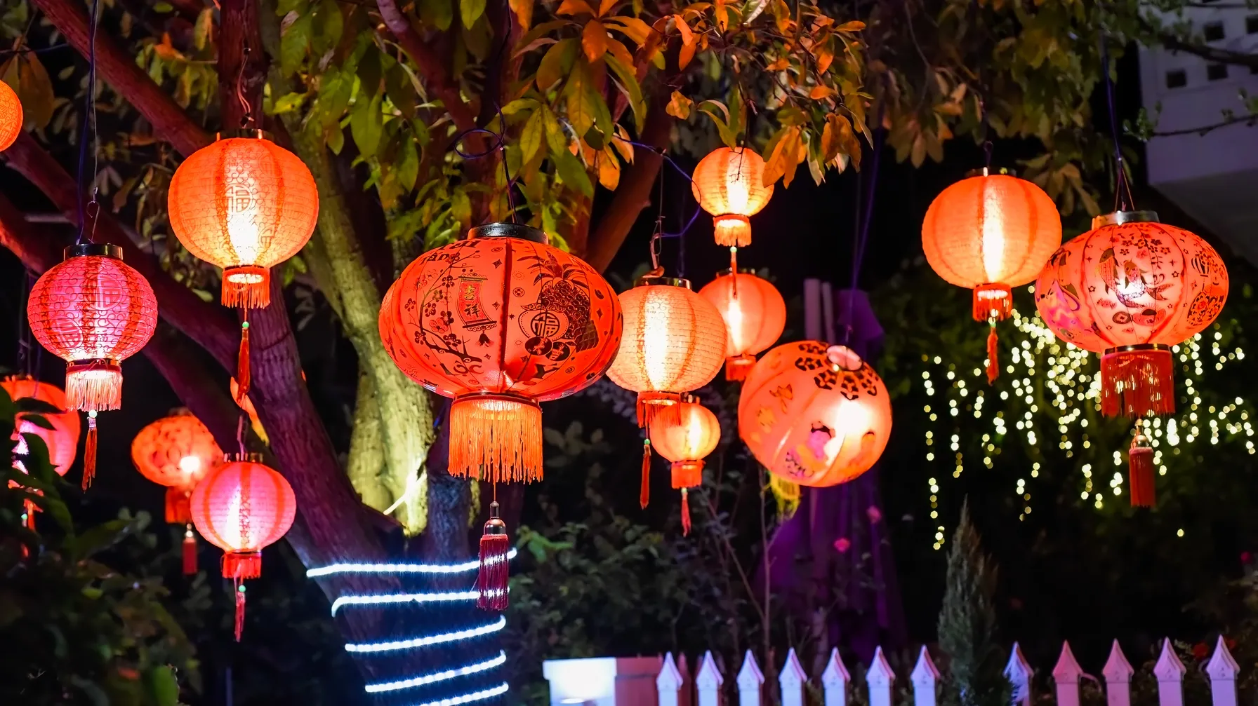 Vietnam en janvier : la période idéale pour votre voyage sur mesure article