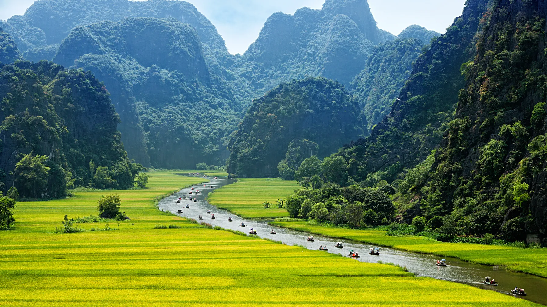 Vietnam en août : quand l'été révèle ses trésors cachés article
