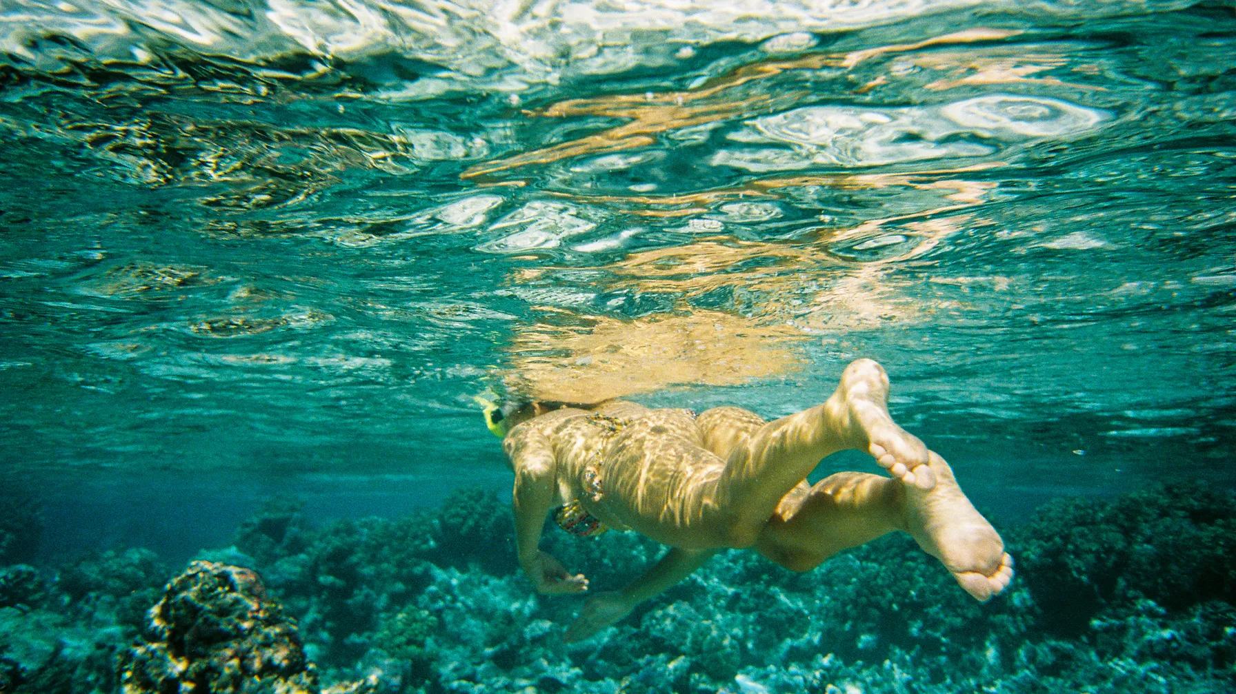 Activités à Moorea : que faire sur l'île sœur de Tahiti ? article
