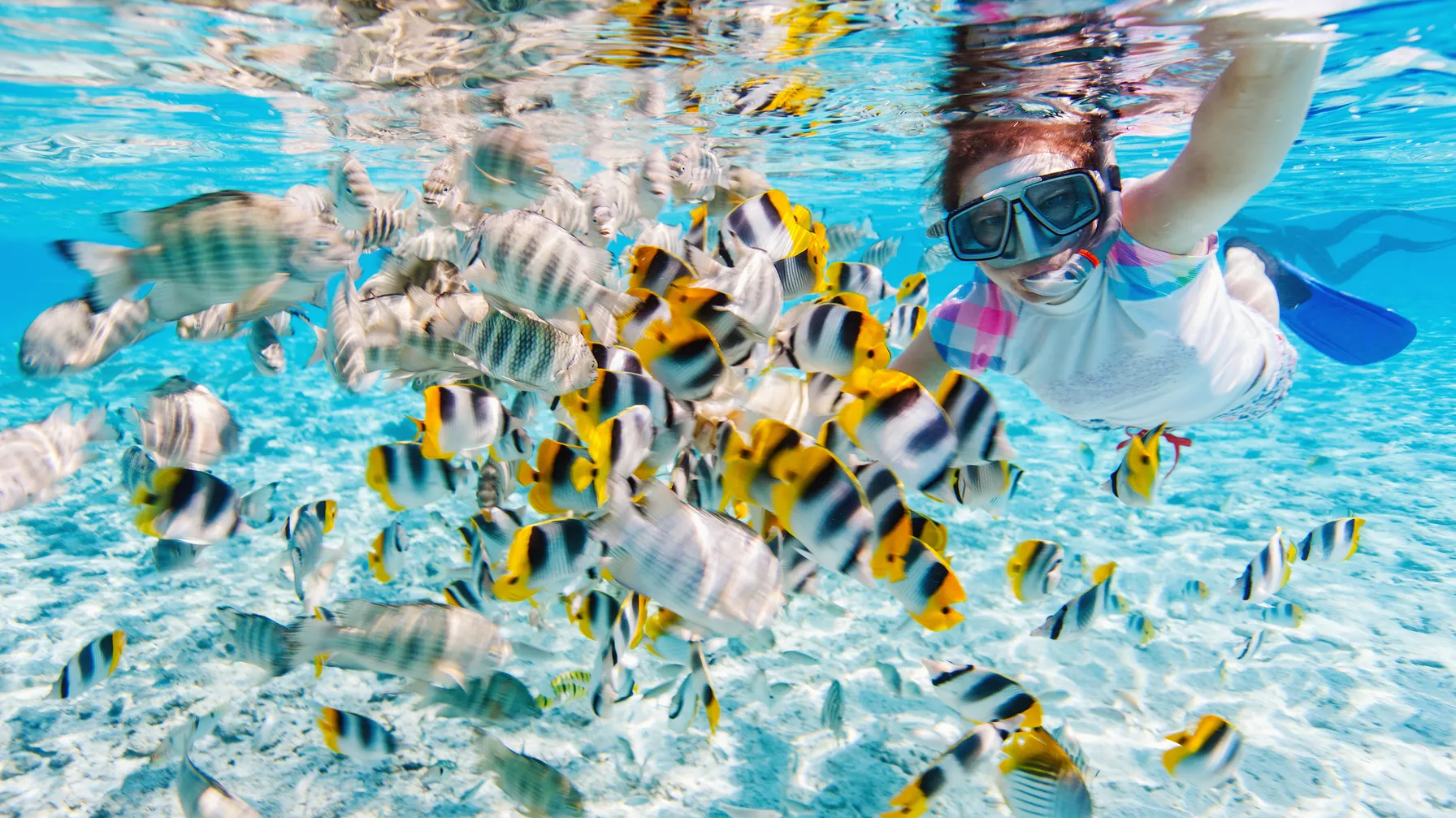 Bora Bora in July: the pearl of the Pacific in ideal conditions article