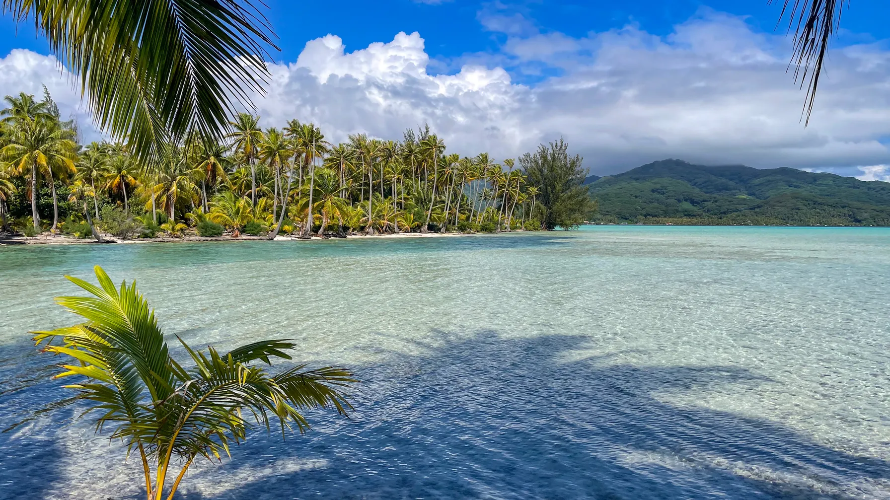 Bora Bora in March: should you travel during this period? article