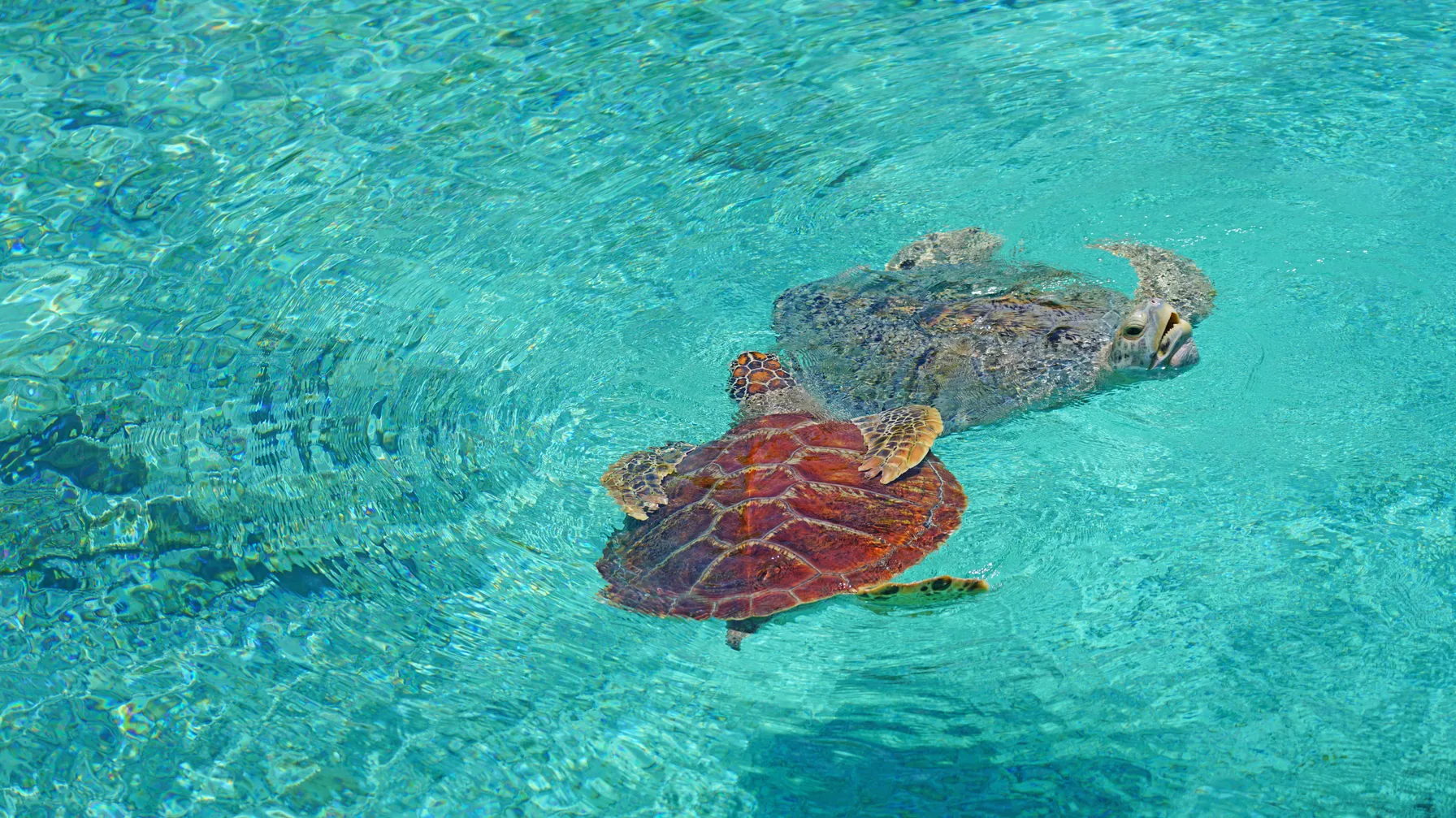 Bora Bora in September: A getaway at the gates of Polynesian autumn article