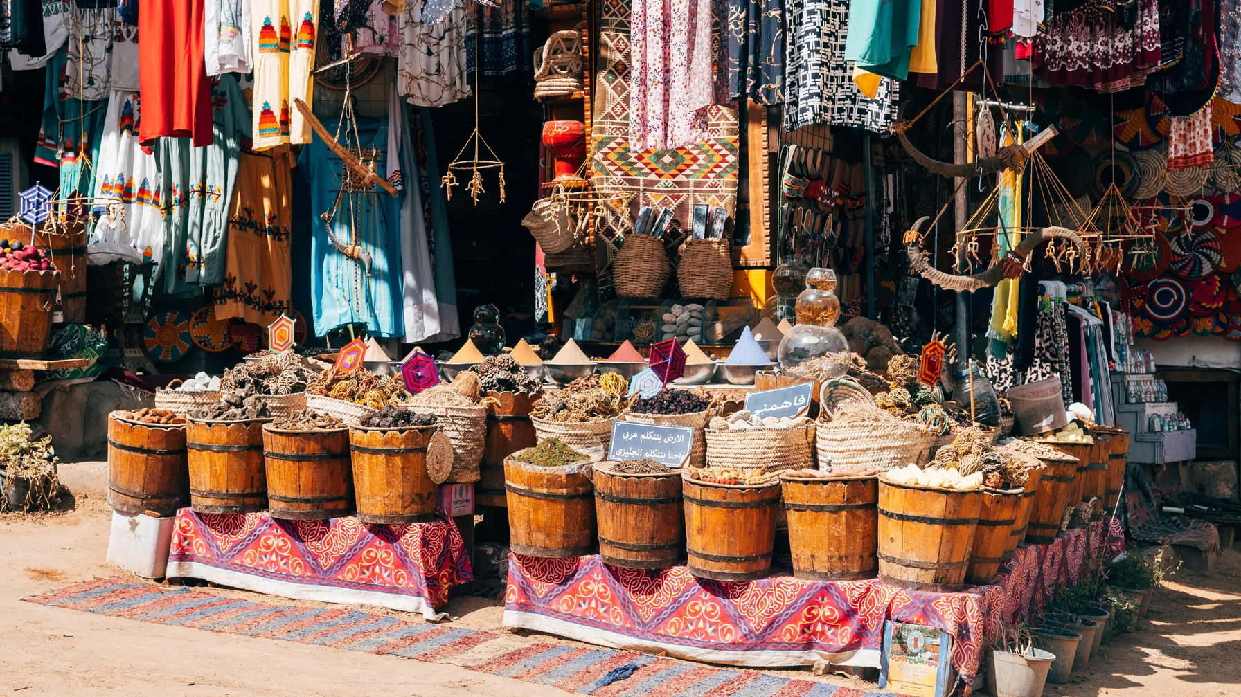 Culture en Égypte : voyage au cœur d'une civilisation millénaire article