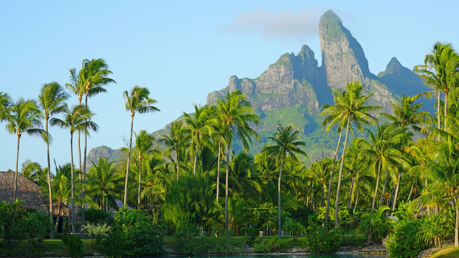 Bora Bora in January: Your Tropical Getaway between Sun and Beneficial Rains article