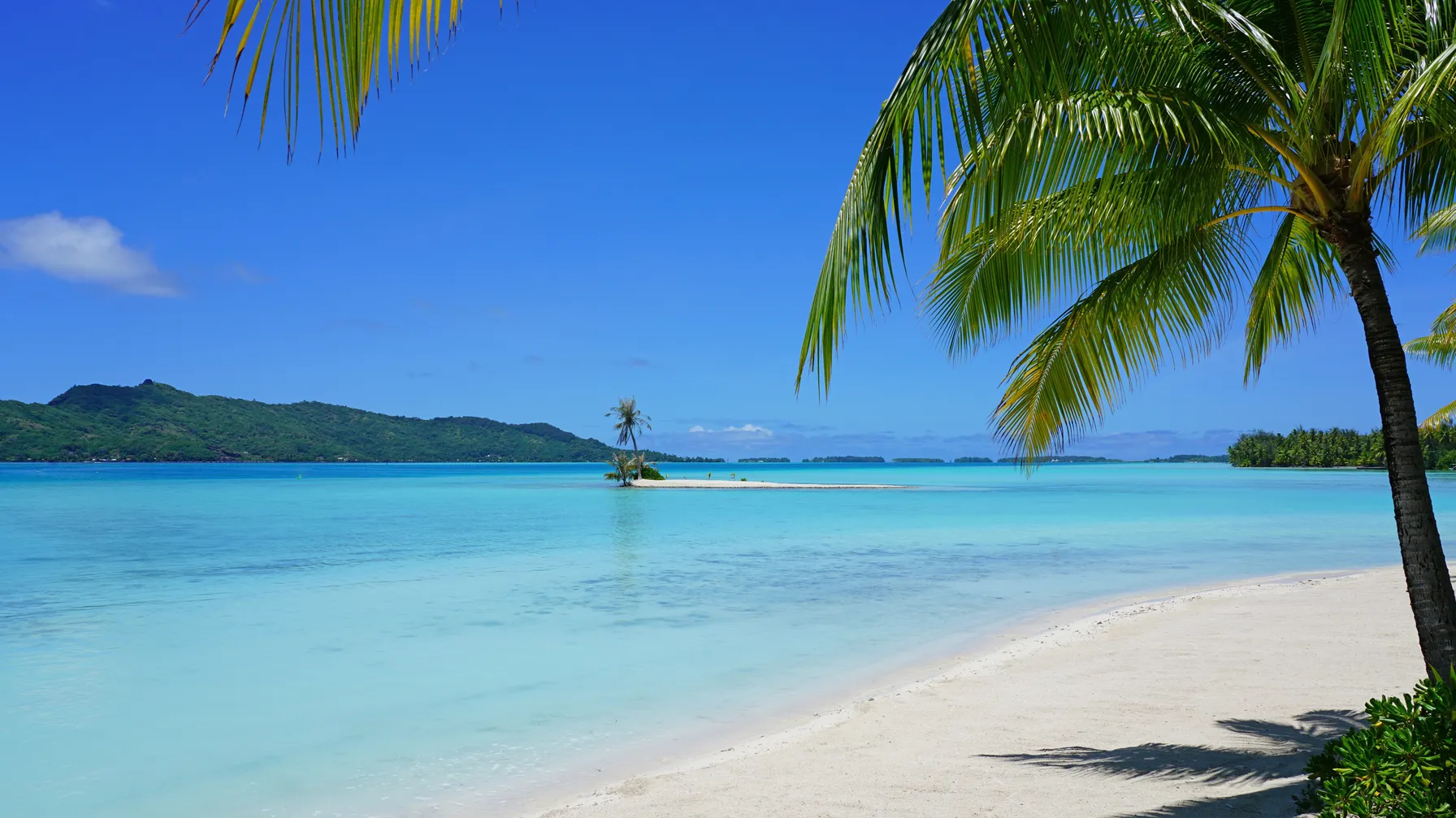 Beach at Bora Bora: The Complete Guide for a Heavenly Stay article
