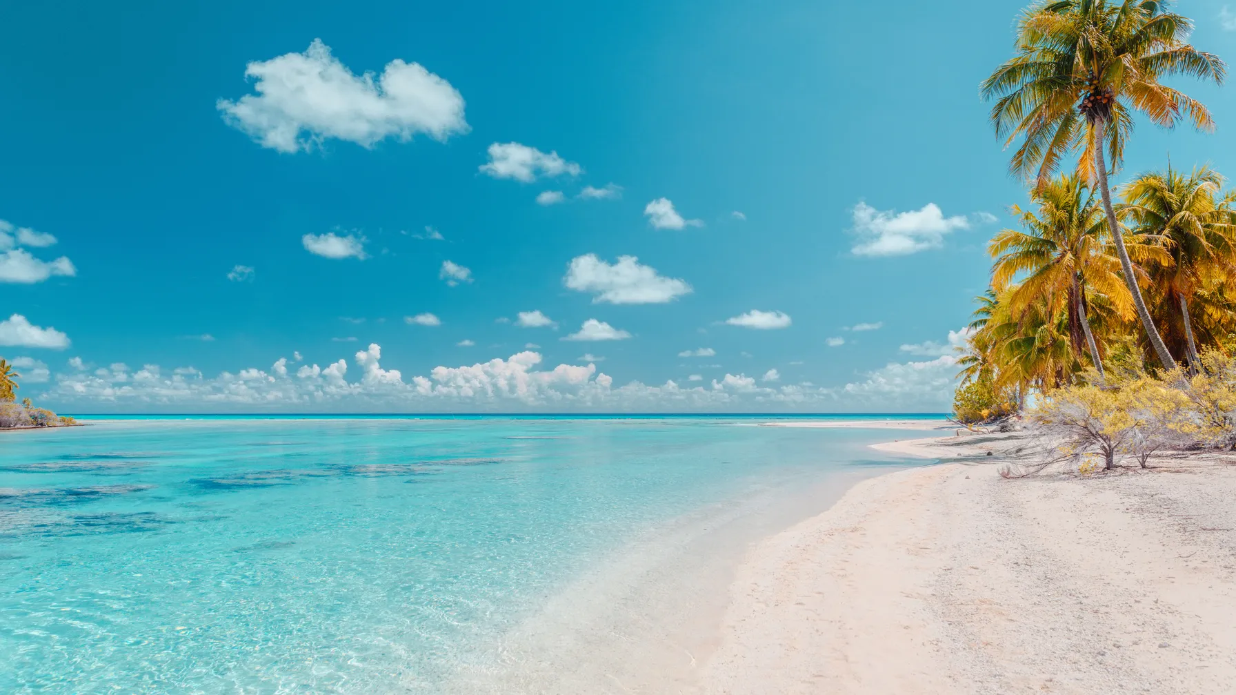The most beautiful beaches in Rangiroa: your guide for a leisurely stay in French Polynesia article