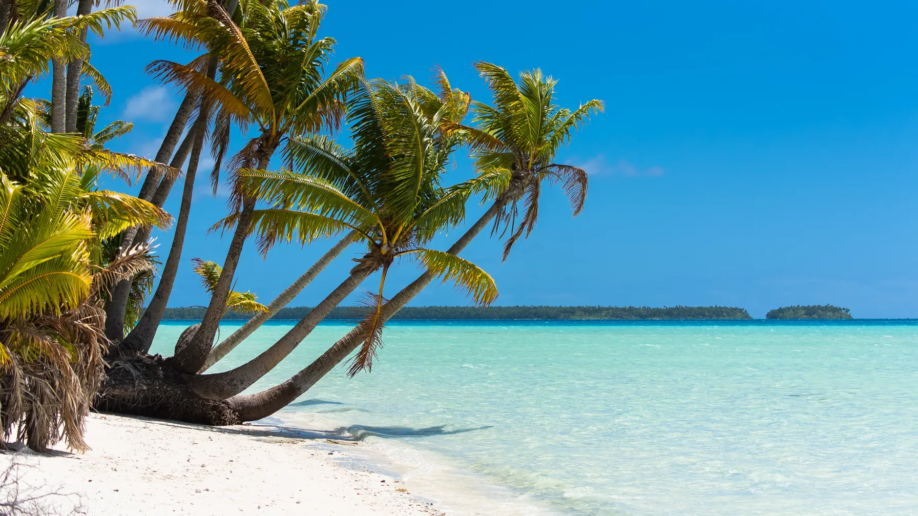 When to go to Tahiti: complete guide to choosing your ideal time article