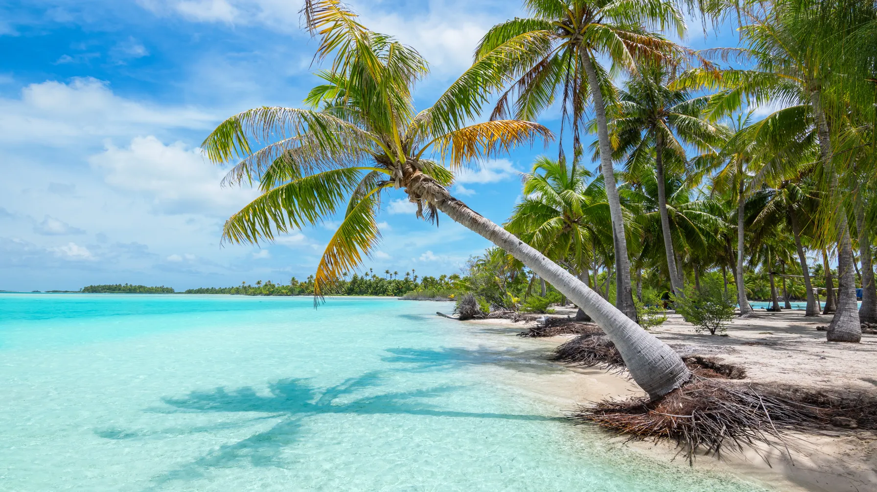 Les plages de Fakarava : votre guide pour un séjour farniente au paradis polynésien article