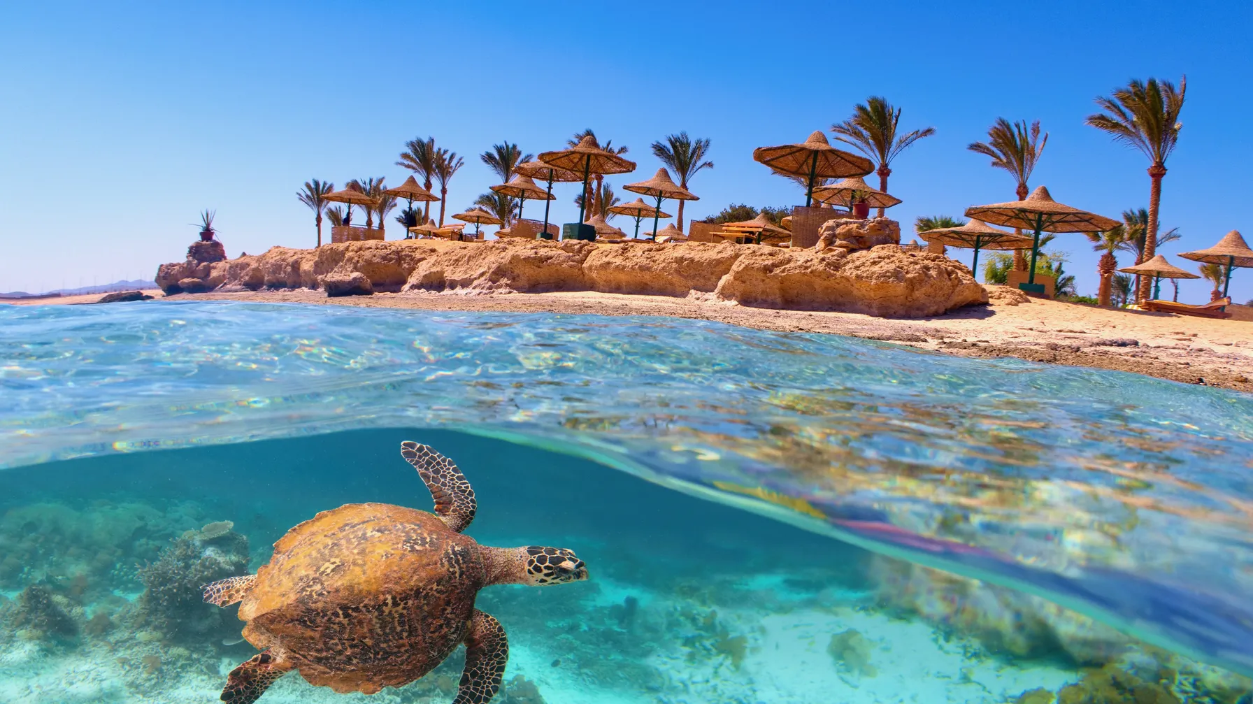 Diving in Hurghada: Explore the treasures of the Red Sea article