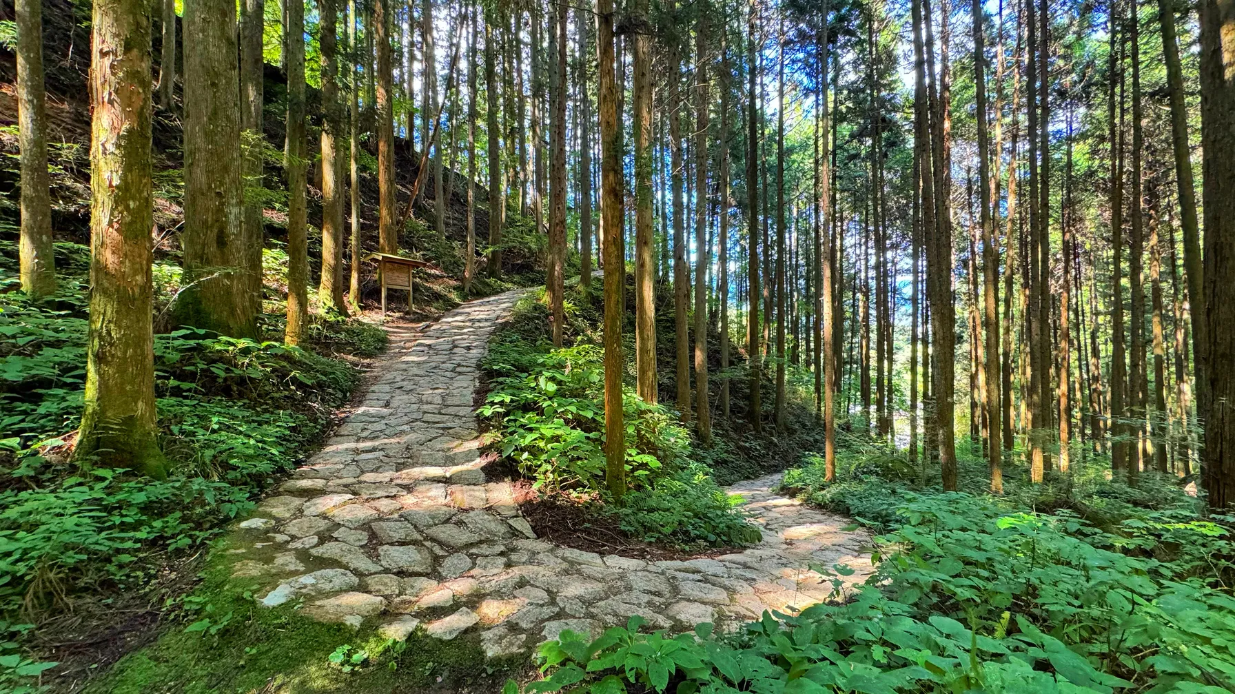 Hiking in Japan: essential trails to explore article