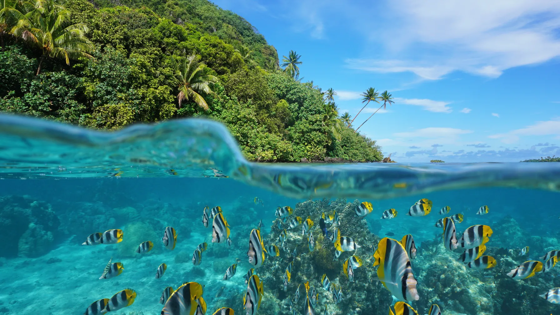 Tahiti in August: your rendezvous with Polynesian paradise article