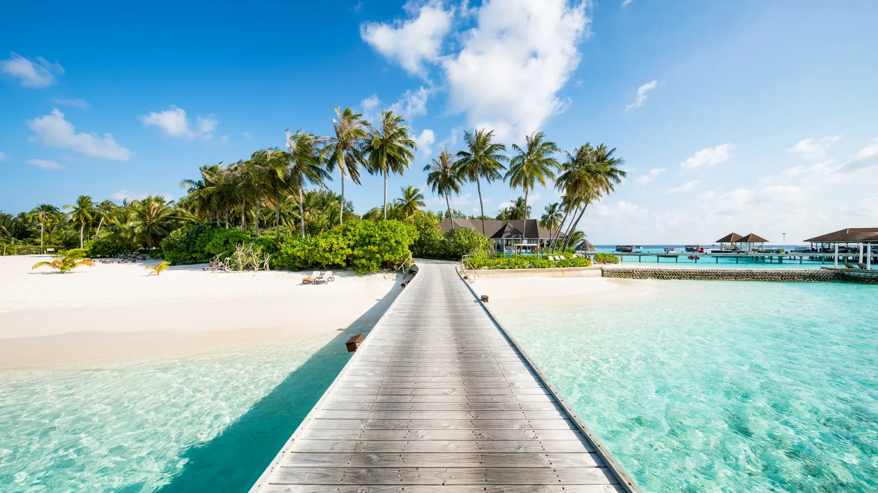 Tahiti in July: the perfect destination for your summer vacation? article