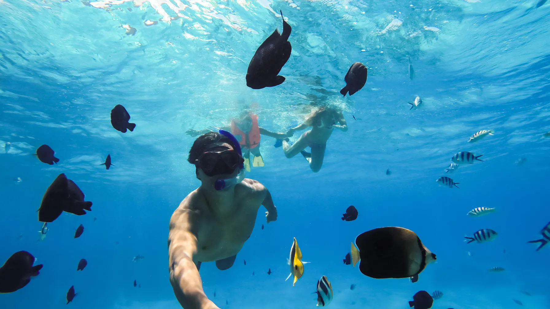 Tahiti in June: the perfect destination for your tropical vacation? article