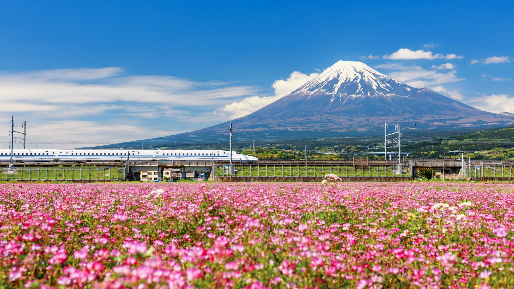 10 days in Japan: the complete guide for an unforgettable stay article