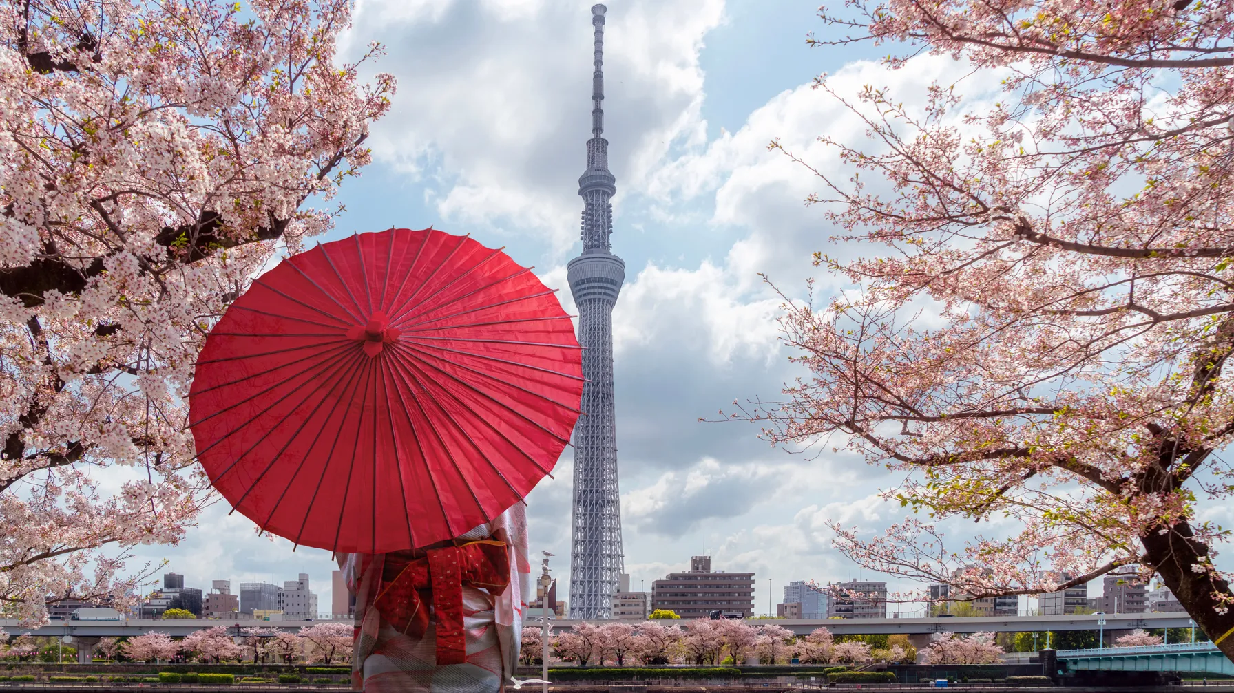 4 jours à Tokyo : le guide pour une visite réussie article