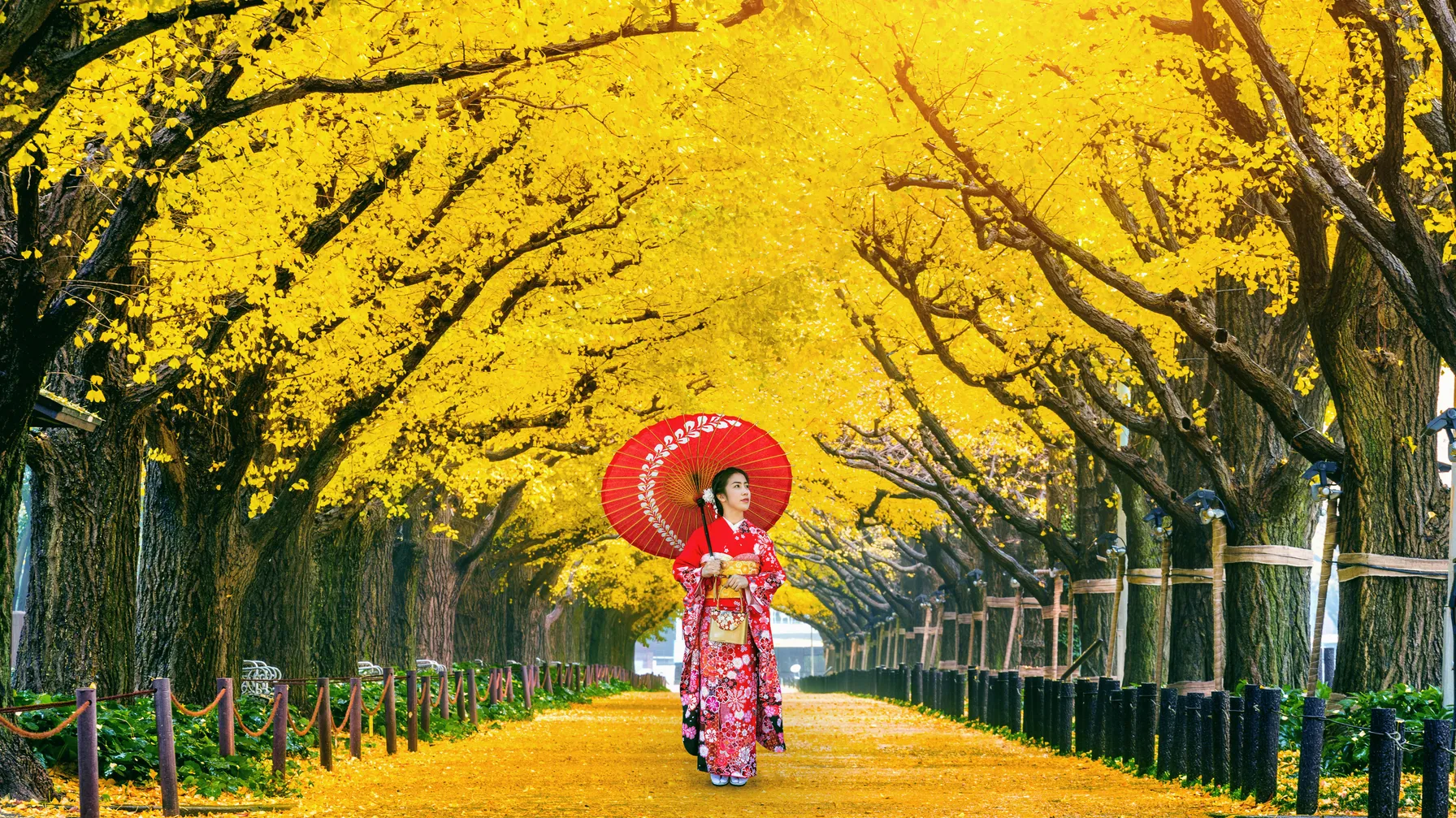 7 jours à Tokyo : le guide complet pour visiter la capitale japonaise article