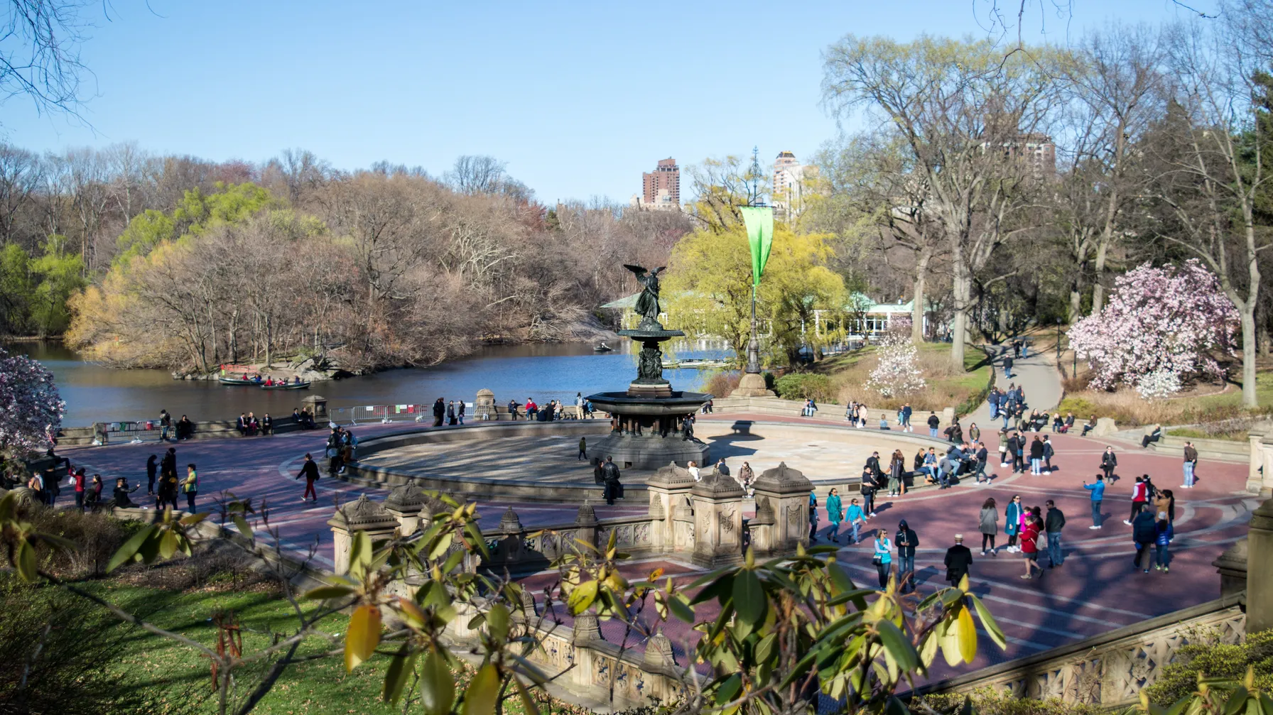 New York in April: spring under the sign of cherry trees and grand avenues article