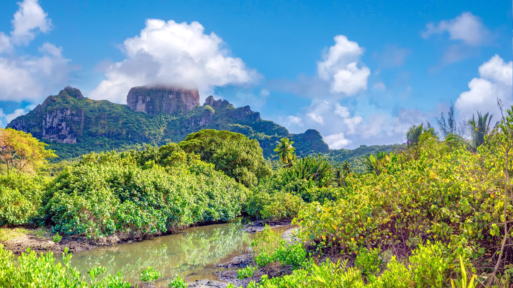Hiking in Bora Bora: explore the Pearl of the Pacific on foot article