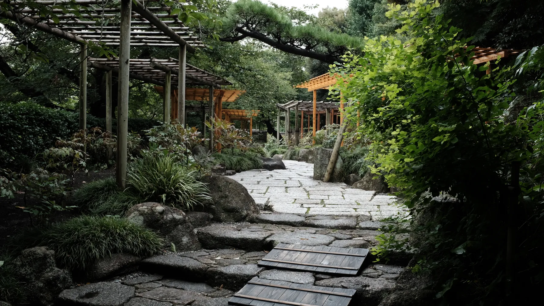 Randonnée à Kamakura : explorer l'ancienne capitale shogunale à pied article