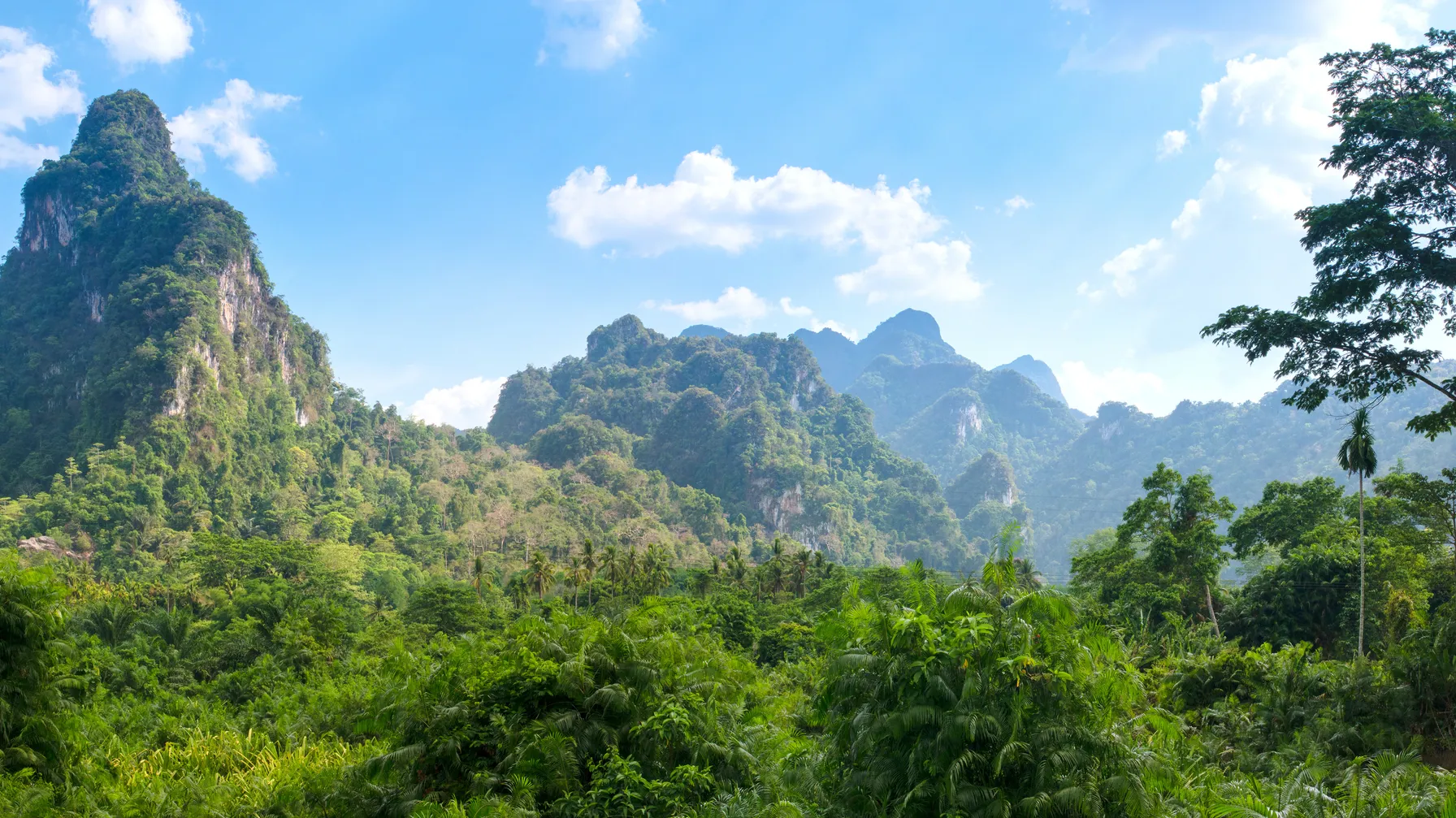 Randonnée à Khao Lak : les sentiers incontournables à explorer article