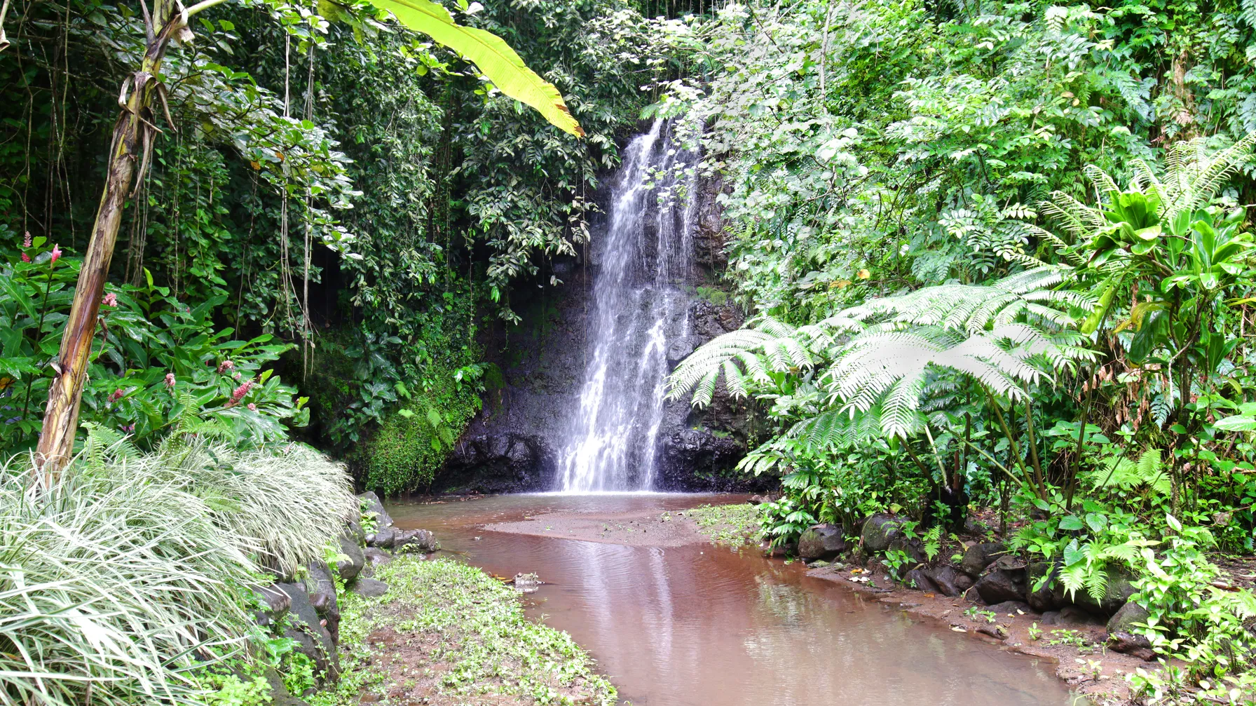 Hiking in Papeete: set out to explore the island of Tahiti by foot article