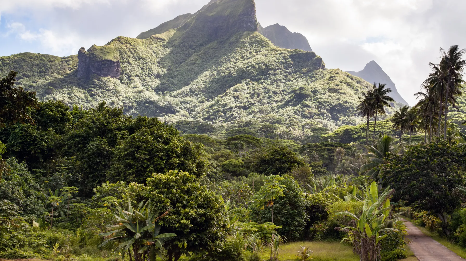 Randonnée à Raiatea : les plus beaux sentiers à explorer article