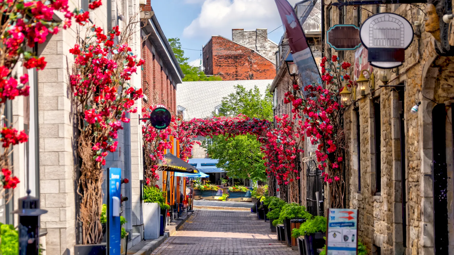 Activities in Montreal: must-see experiences to try article