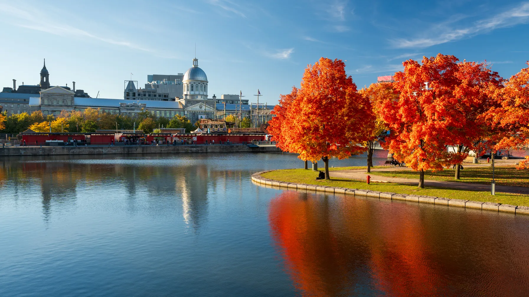 Montreal in October: autumn in all its splendor article