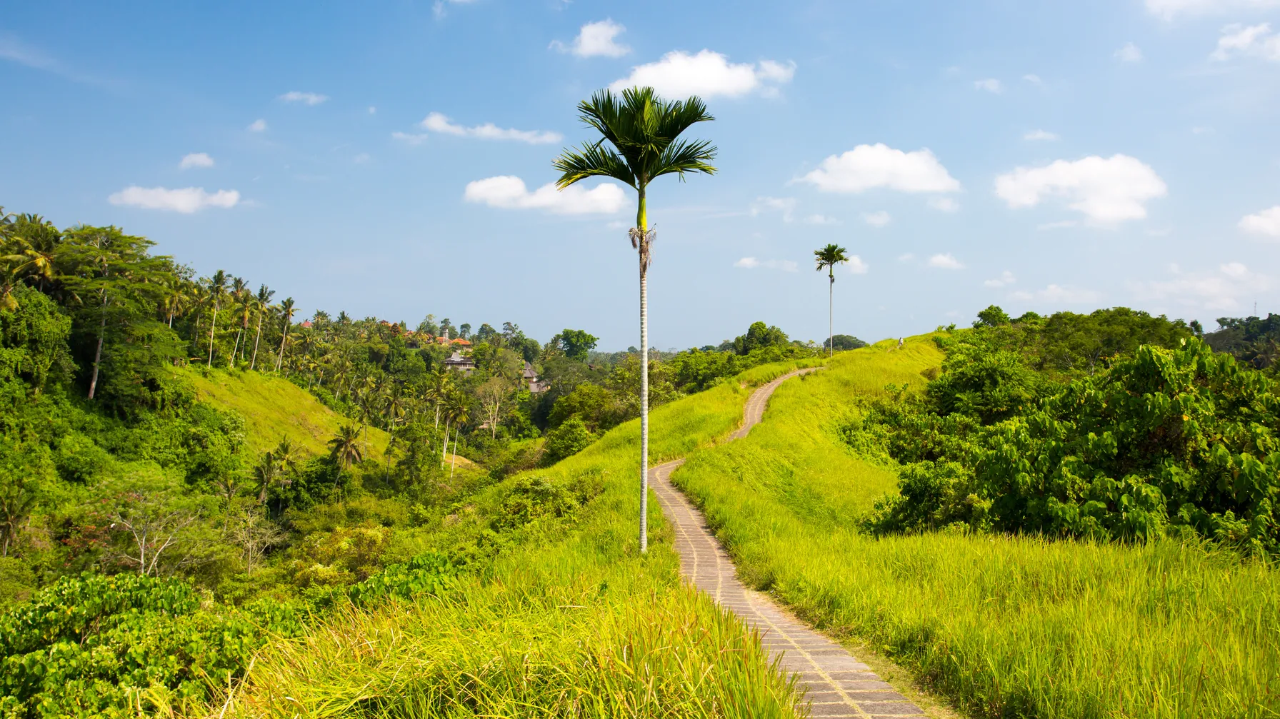 Bali en janvier : tout ce qu'il faut savoir avant de partir article