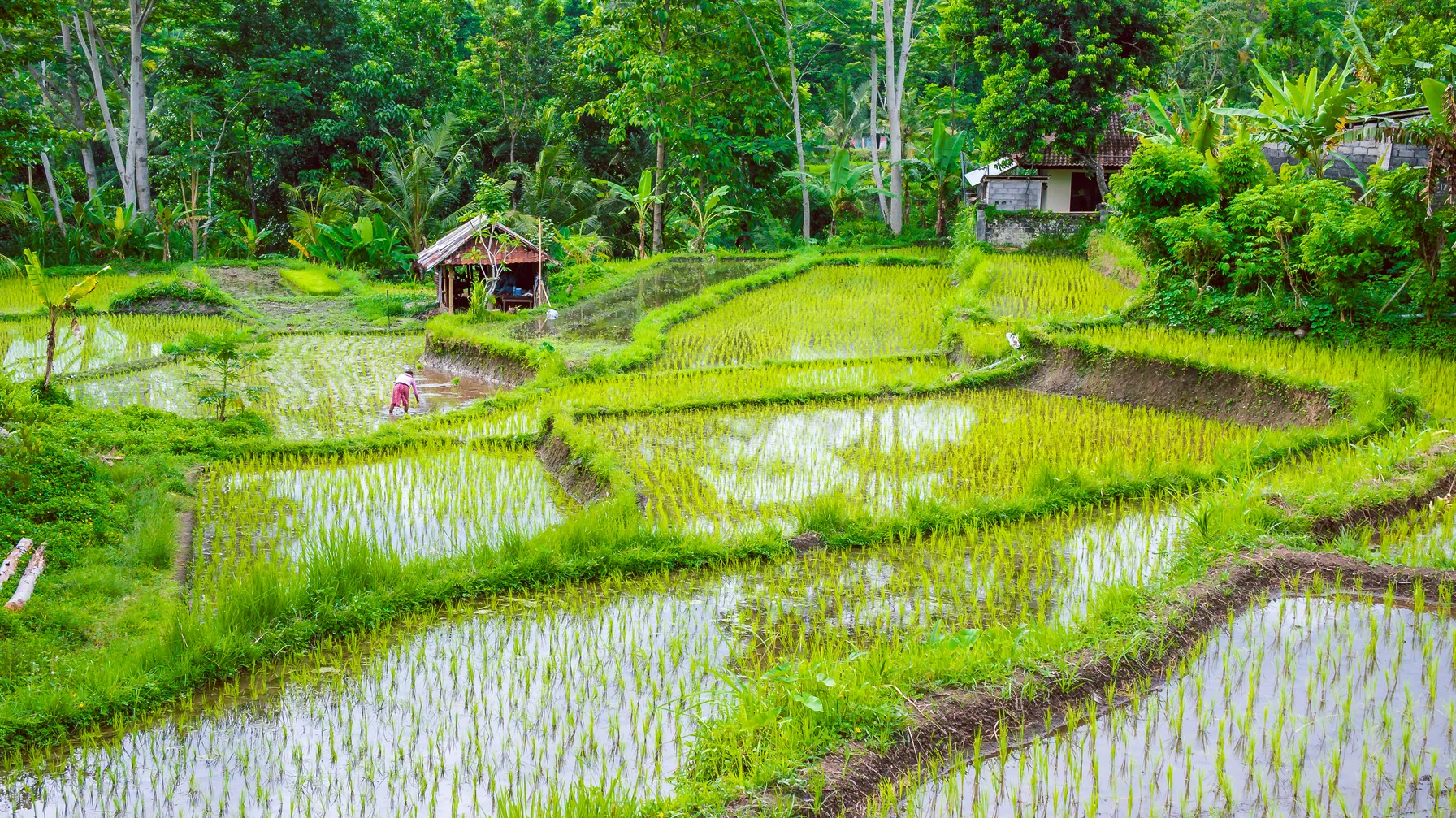 Bali en octobre : l'île des dieux à vivre sous son meilleur jour article
