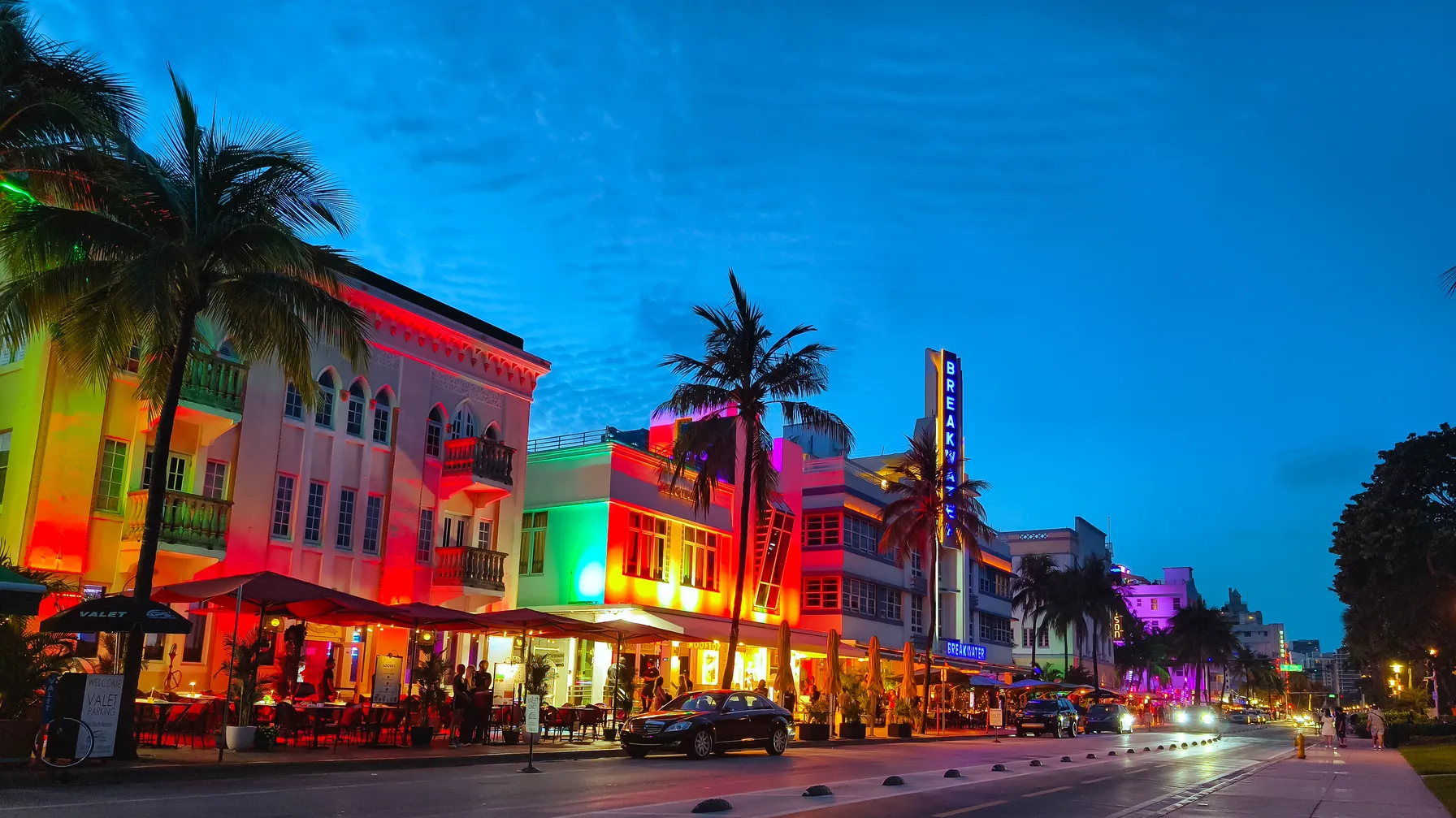 Miami Guide: everything you need to know to discover the magical city of Florida. article