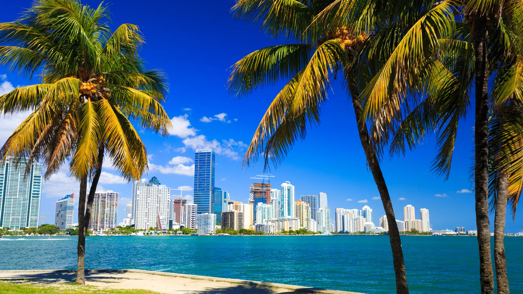Miami en décembre : pourquoi est-ce le moment idéal pour s'y envoler ? article
