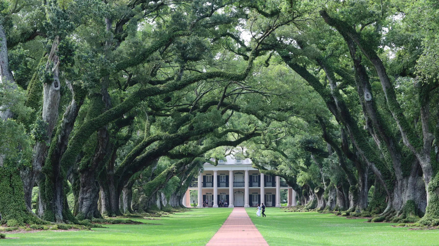 Que faire en Louisiane : les incontournables à découvrir article