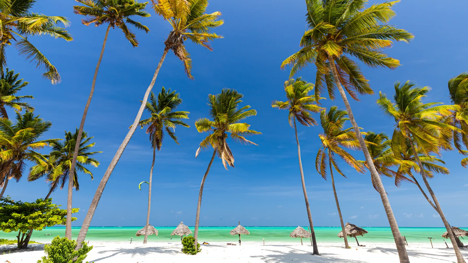 Plage à Zanzibar : les plus belles adresses pour vivre le farniente parfait article