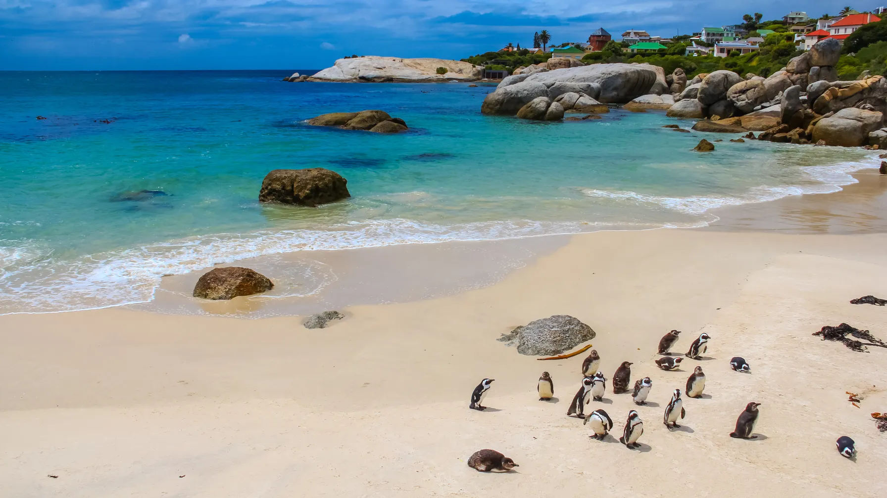 Plage en Afrique du Sud : les plus belles destinations pour le farniente article