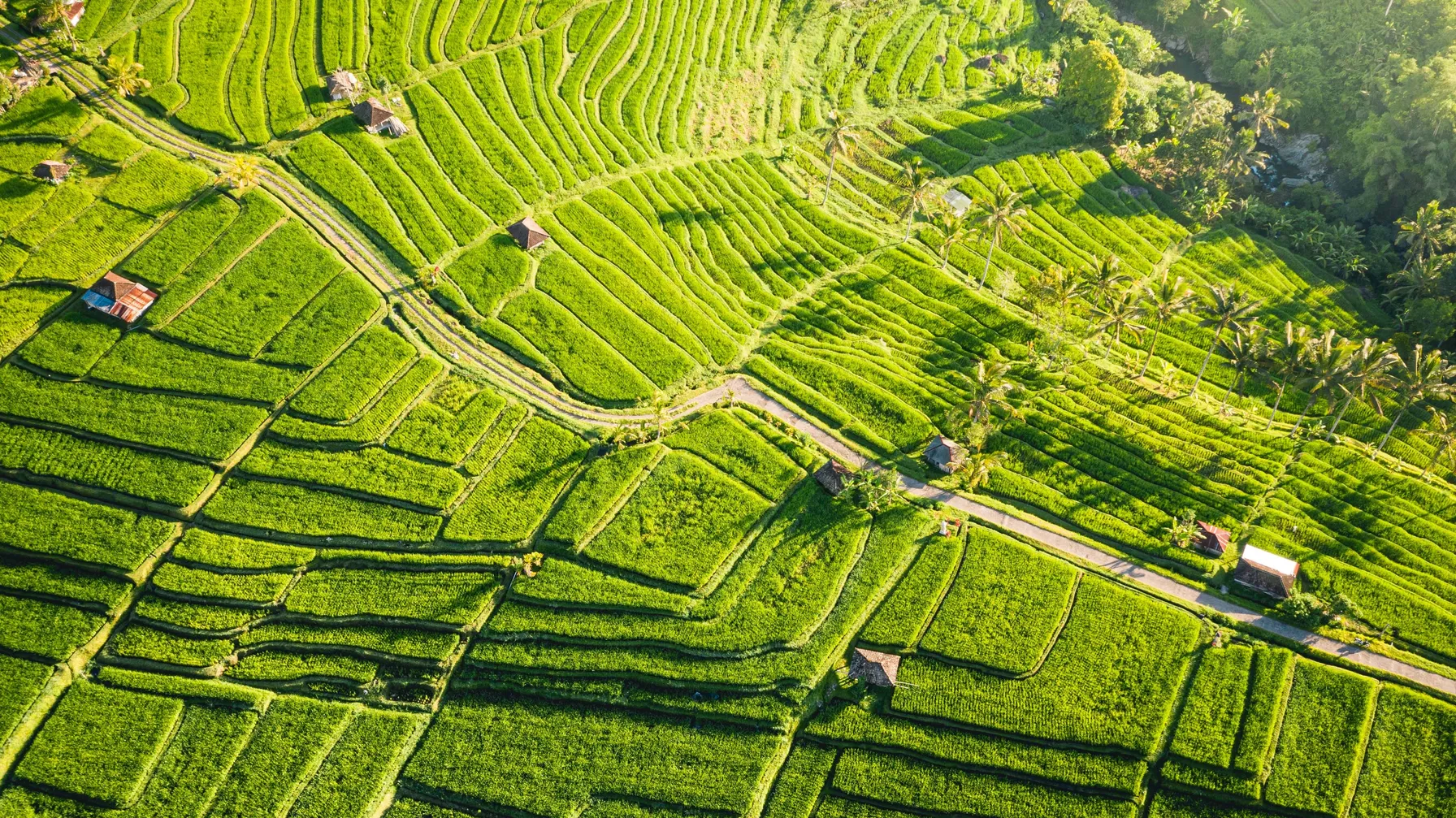 Que faire à Bali : les expériences incontournables de l'île des dieux article