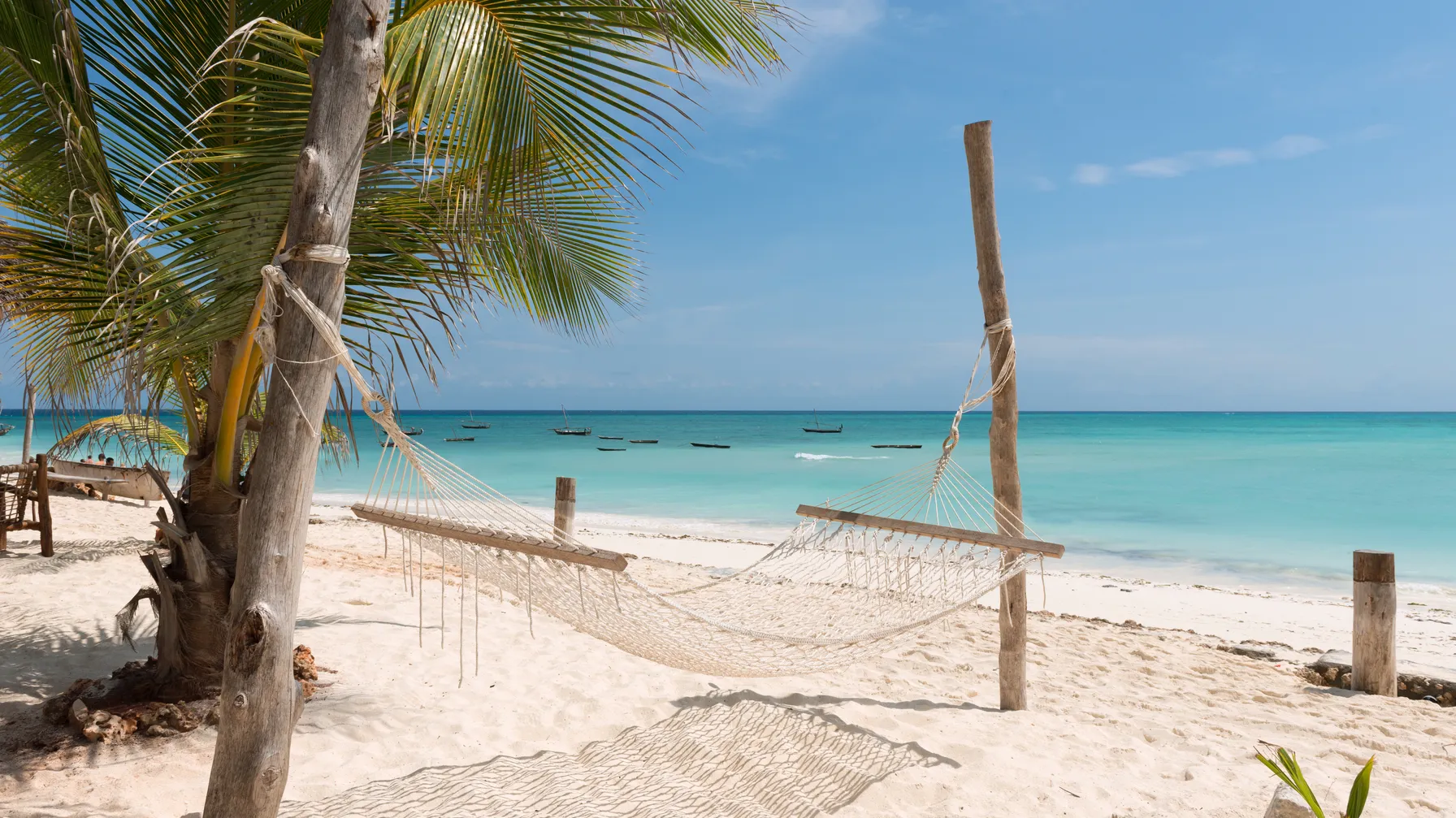Que faire à Zanzibar : les expériences incontournables de l'île aux épices article