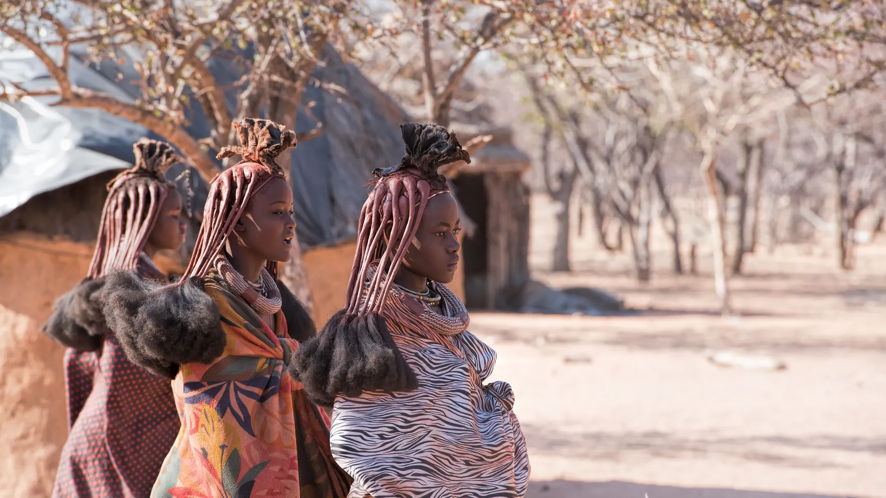 What to do in Namibia: the must-dos of an exceptional trip article