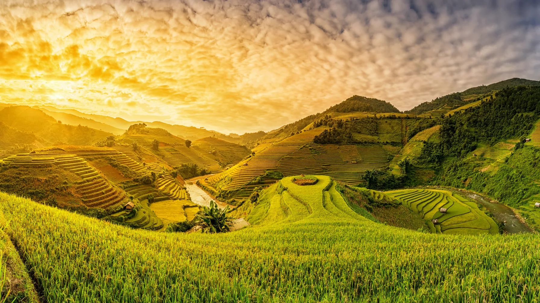Randonnée au Vietnam : les plus beaux sentiers à explorer article