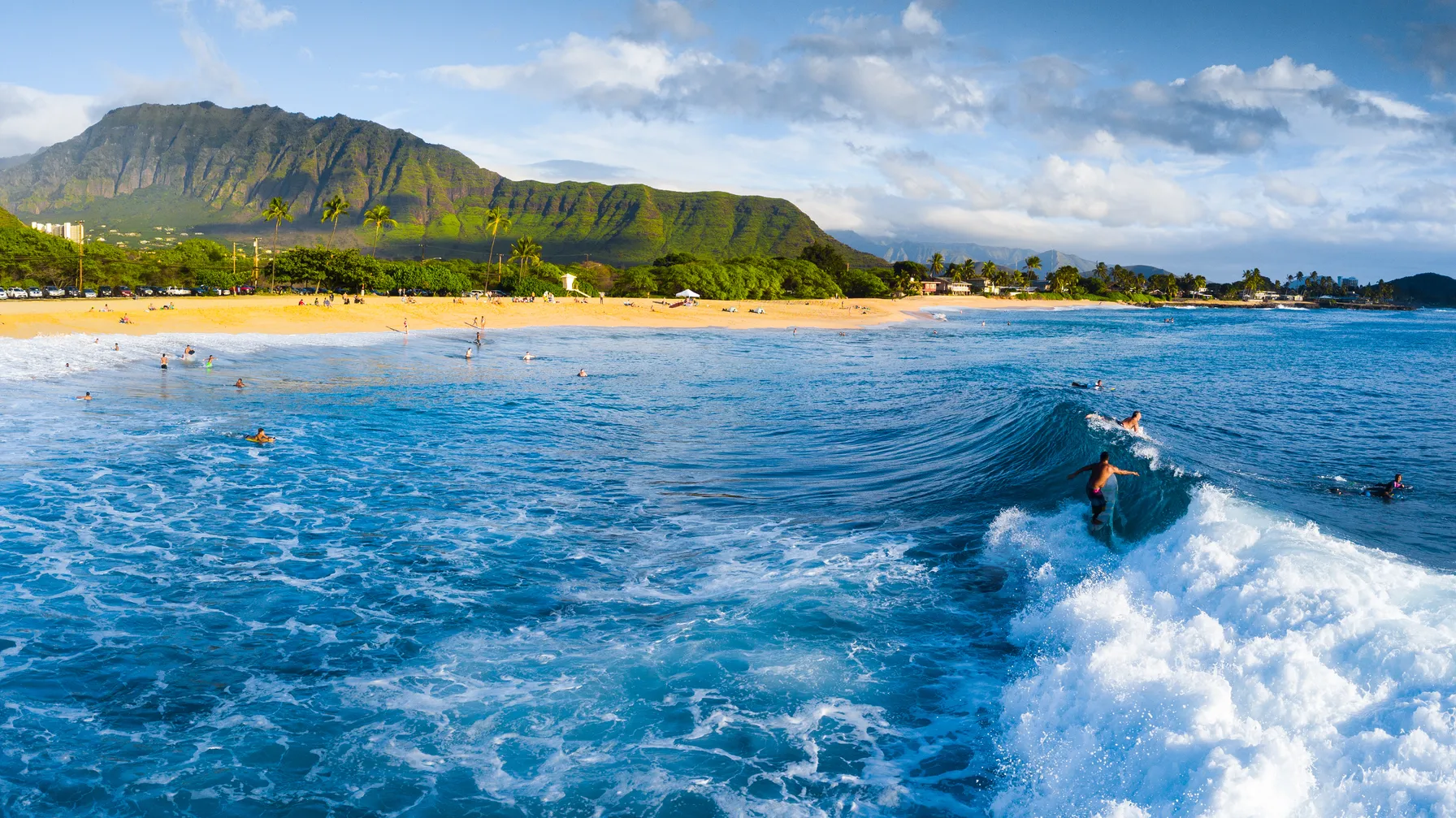 Surfing in Hawaii: the best spots for a tailor-made surfing trip. article
