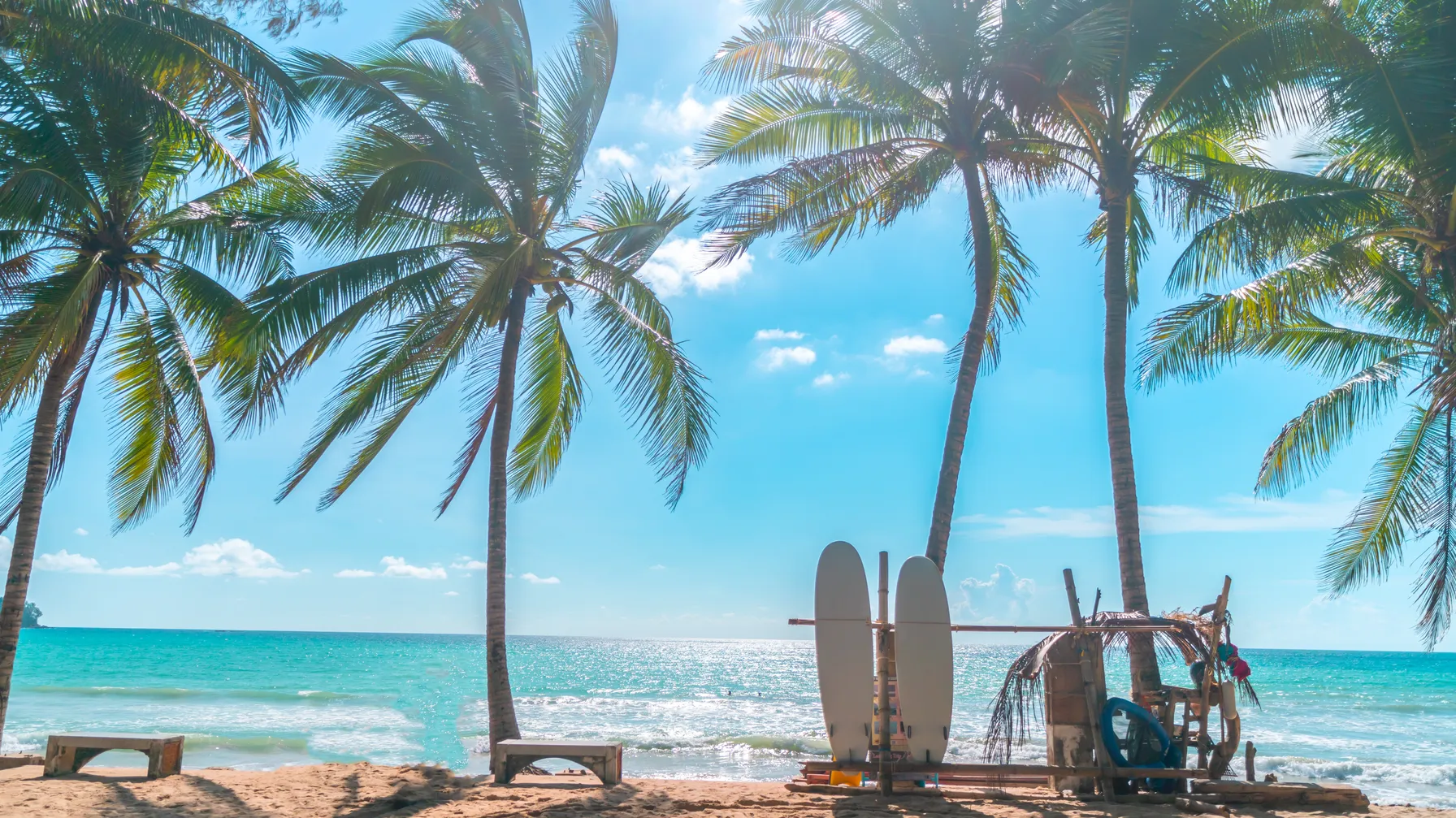 Surf à Miami : les essentiels pour prendre la vague en Floride article