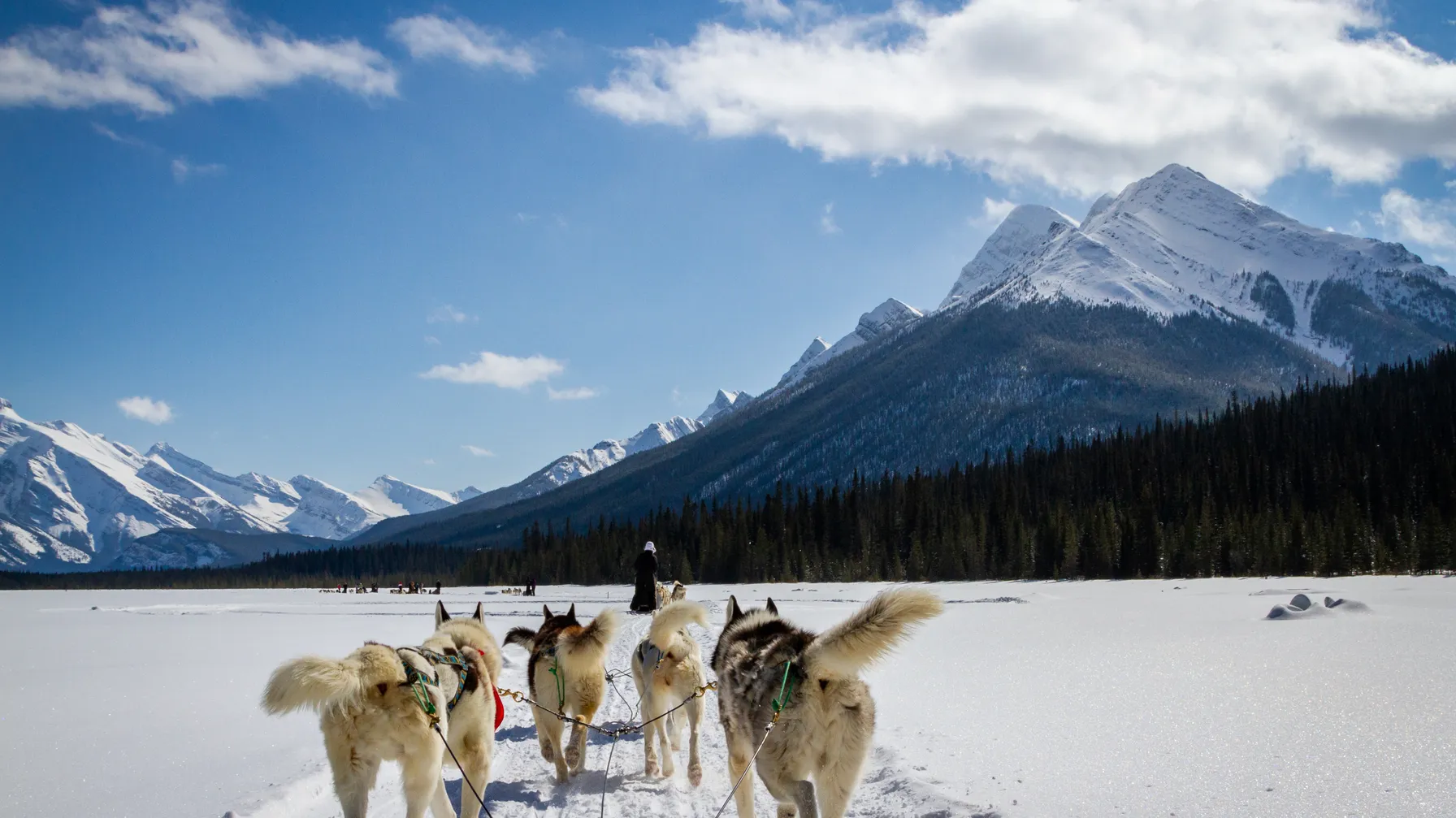 Le Canada en février : hiver grandiose et multitude d'activités article