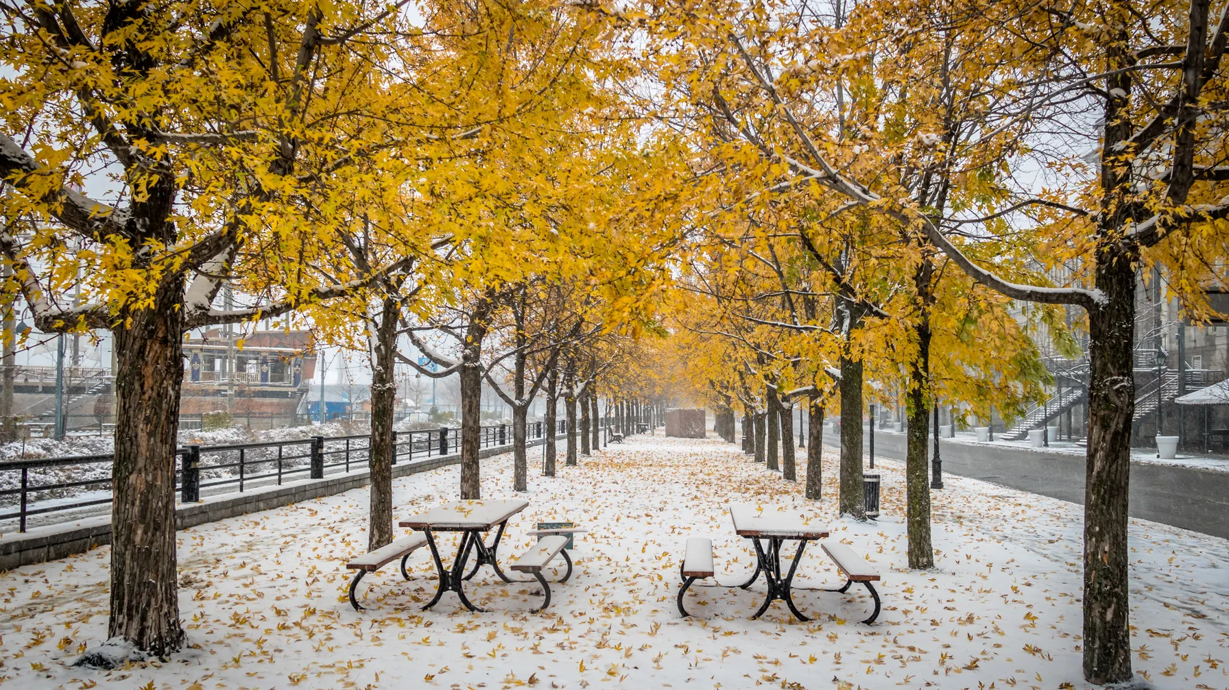 Canada en novembre : tout ce qu'il faut savoir avant de partir article