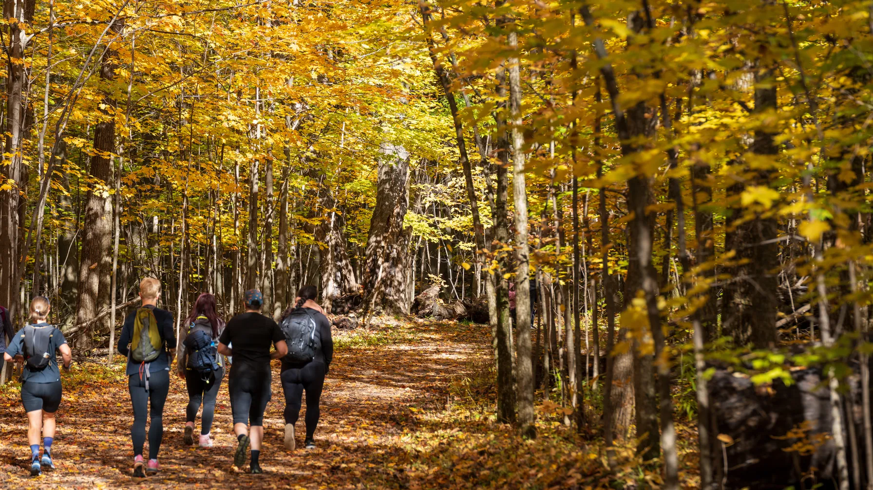 Randonnée au Québec : les plus beaux sentiers à explorer article